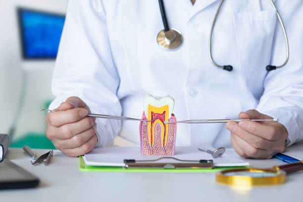 Best Emergency Cosmetic Dentistry in Marshall, MO